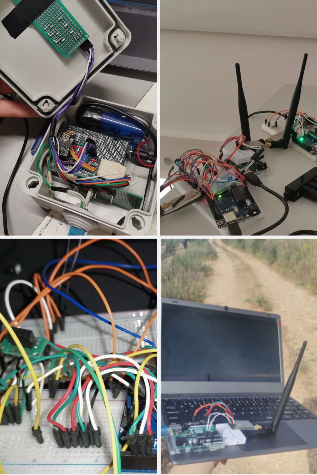 Evolução do projeto